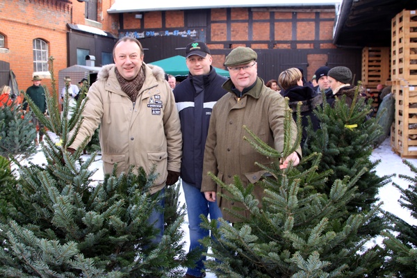 Weihnachtsbaeume   036.jpg